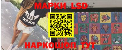прущие грибы Будённовск
