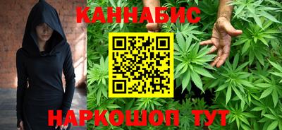 прущие грибы Будённовск
